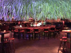 Party at Beach Bar MEXO
