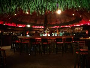 Party at Beach Bar MEXO