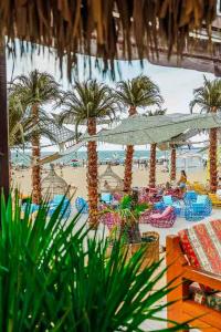MEXO Summer Dreams