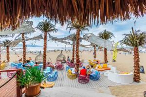 MEXO Summer Dreams