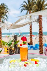 MEXO Summer Dreams