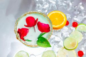 MEXO Summer Dreams