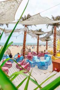 MEXO Summer Dreams