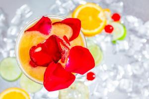 MEXO Summer Dreams