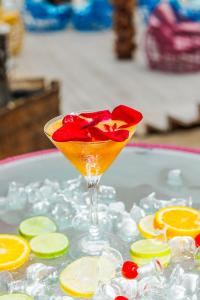 MEXO Summer Dreams