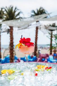 MEXO Summer Dreams