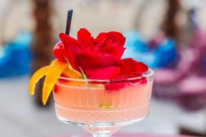 MEXO Summer Dreams