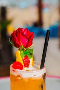 MEXO Summer Dreams
