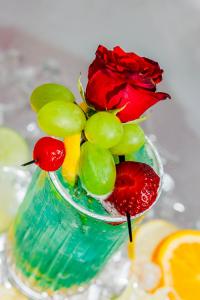 MEXO Summer Dreams