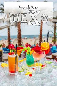 MEXO Summer Dreams