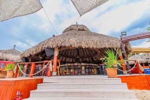 MEXO Summer Dreams