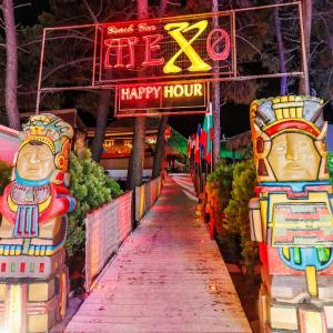 MEXO by Night