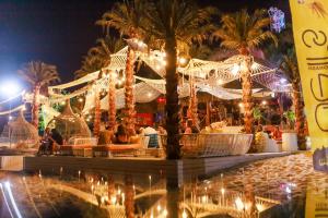 MEXO by Night