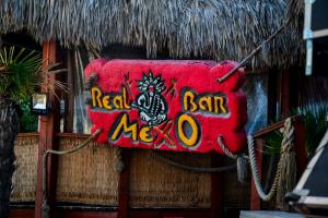 MEXO by Night