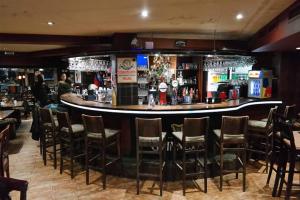 THE LIONS PUB Bansko Fresh