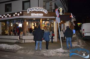 PENGUINS Bansko