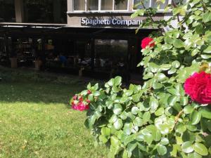 The Garden