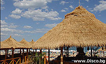 Disco Club "MALIBU" Golden Sands
