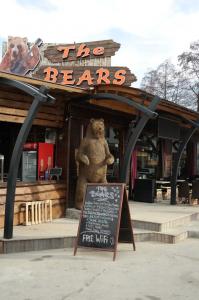 THE BEARS Bansko