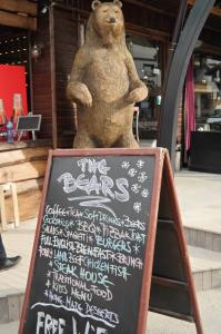 THE BEARS Bansko