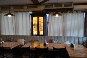 THE BEARS Bansko Fresh
