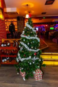 Live Circus Show 27.12.2025