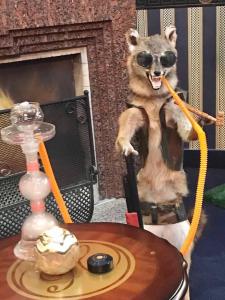 SHISHA Moments
