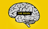 Bar "THE BRAIN" Burgas