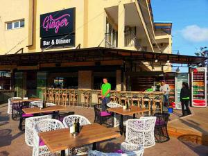 Grand Opening GINGER