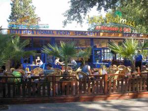 LAS PALMAS Garden