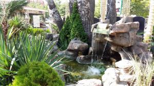 LAS PALMAS Garden