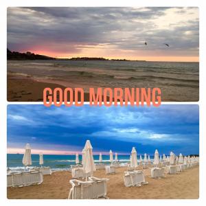 SOUTH BEACH BAR Nessebar