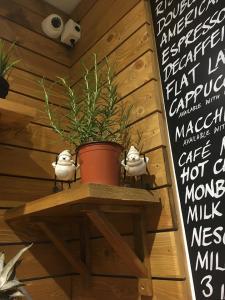 Coffee & Juice Bar WAKE UP Bansko