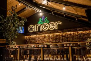 Bar & Dinner GINGER Bansko