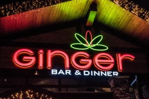 GINGER Bansko Grand Opening Party