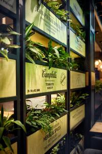 GINGER Bansko Interior