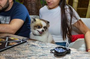 Party with Riicky & Anna