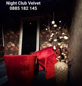Night Club VELVET