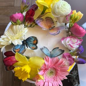 Your Dream Party !
