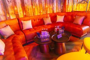 Grand Opening 12.2025