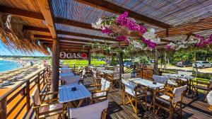 Beach Bar & Restaurant OCASO