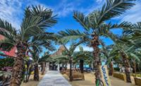 Beach Bar GULLIVER Sunny Beach Beach Bar GULLIVER Sunny Beach