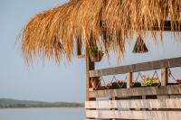 Surf School & Beach Bar SURF HOUSE Chernomorets