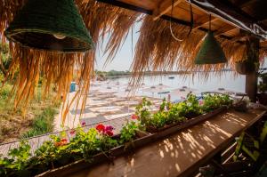 Beach Bar SURF HOUSE