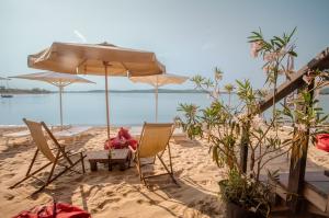 Beach Bar SURF HOUSE