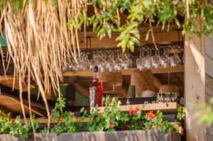 Beach Bar SURF HOUSE