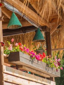 Beach Bar SURF HOUSE