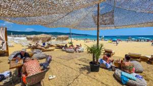 Beach Vibes