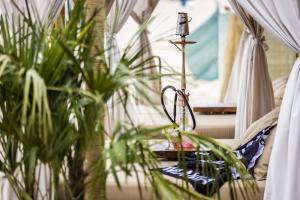 Shisha
