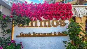 Greek Restaurant & Bar AMMOS Sunny Beach